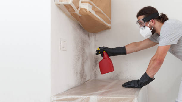 Professional Bathroom Mold Removal technician working in Ada, MI