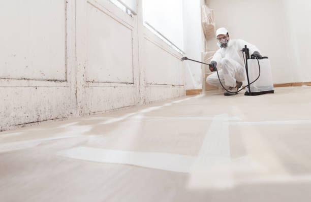 24/7 Emergency Bathroom Mold Removal experts in Ada, MI